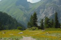 2015-07-04_2Sonnjoch (433).JPG